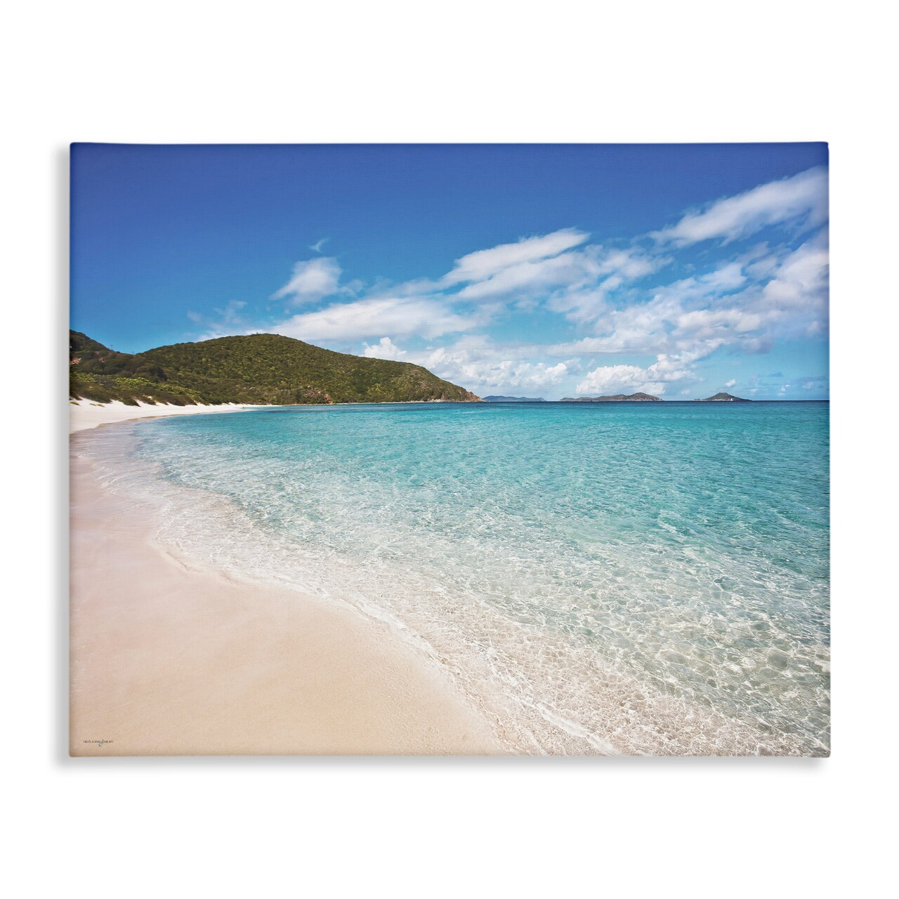 Stupell Industries Coastal Caribbean Shoreline Canvas, design by Seven Trees Design